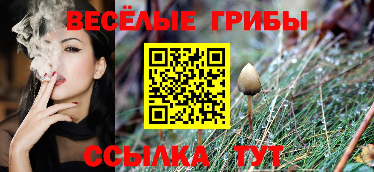 Нерюнгри  Галлюциногенные грибы Psilocybe  Псилоцибиновые грибы Psilocybine cubensis  Вход с VPN 